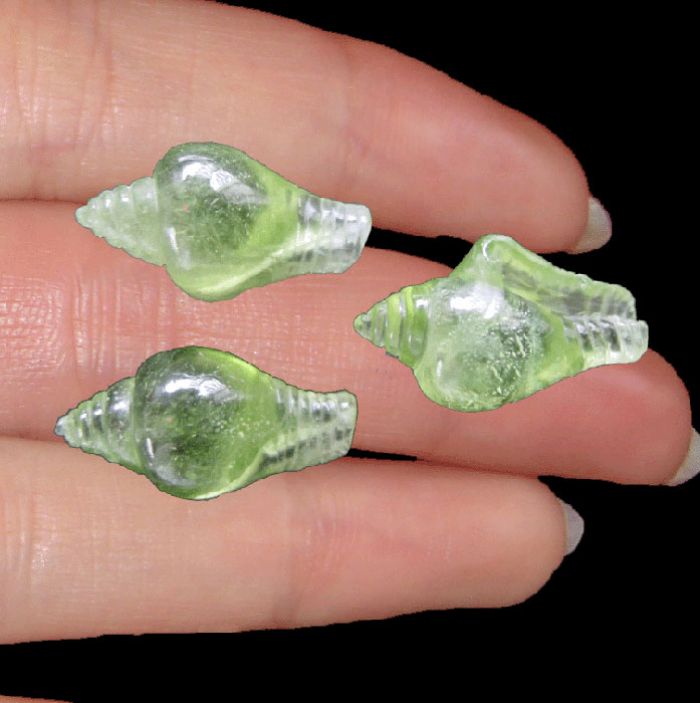 Georgeously Beautiful Conch Shell