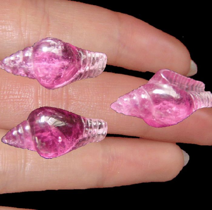 Staggeringly  Natural Conch Shell