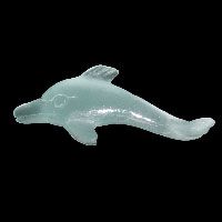 Flawlessly Playful Dolphin Jumping