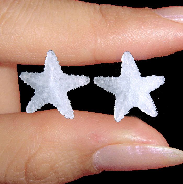 Impressively Lifelike Star Fish