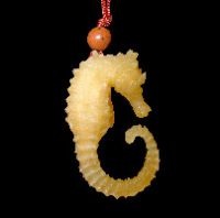 Flawlessly Realistic Sea Horse