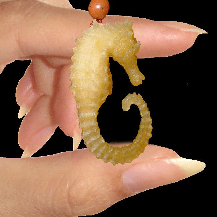 Flawlessly Realistic Sea Horse