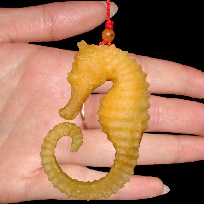 Gorgeously Realistic Sea Horse