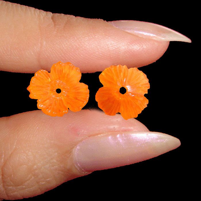 California Poppy