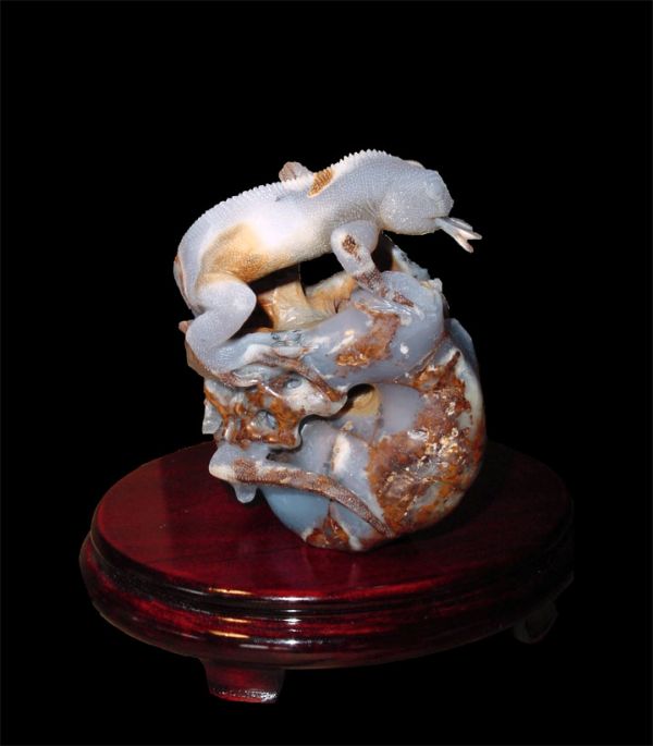 Staggeringly Lifelike Lizard Enjoying His Butterfly