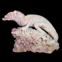 Enchantingly Realistic Lizard  Devours His Buttertfly