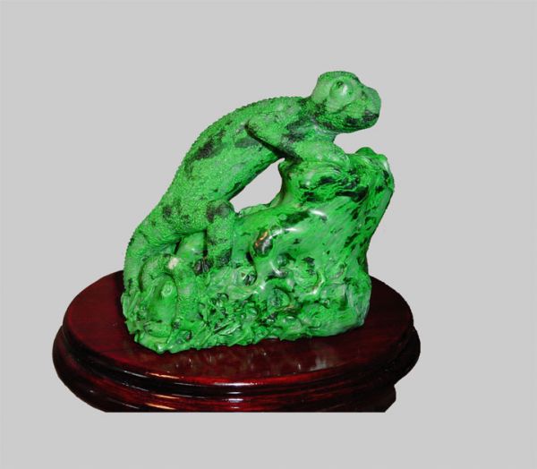 Stunningly Beautiful Chameleon Lizard