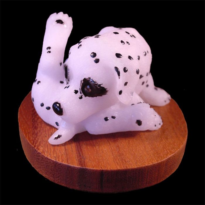 Charming Cute Dalmatian Puppy Licking Himself