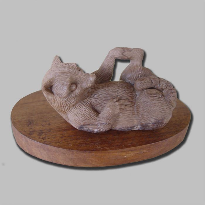 Whimsical Racoon Relaxed On His Back