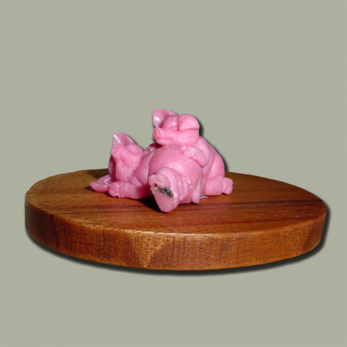 SOLD: Pigs, Mom Sleeps on Dad's Tummy