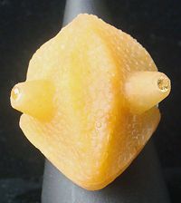 Stylishly Frightful David-Wedd Style Ring: Iguana Lizard Head